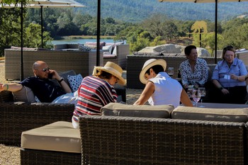 Activity - Estate Tasting W/ Artisanal Cheese Platter