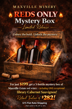 Mystery Box Bundle